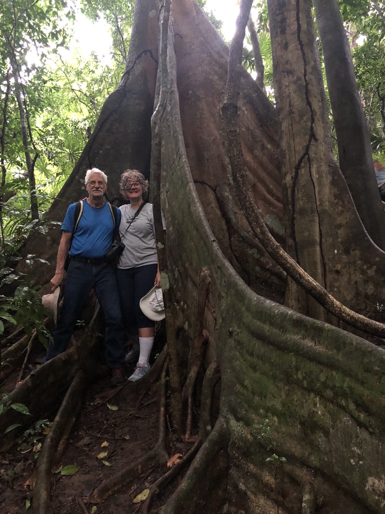 Us and a tree