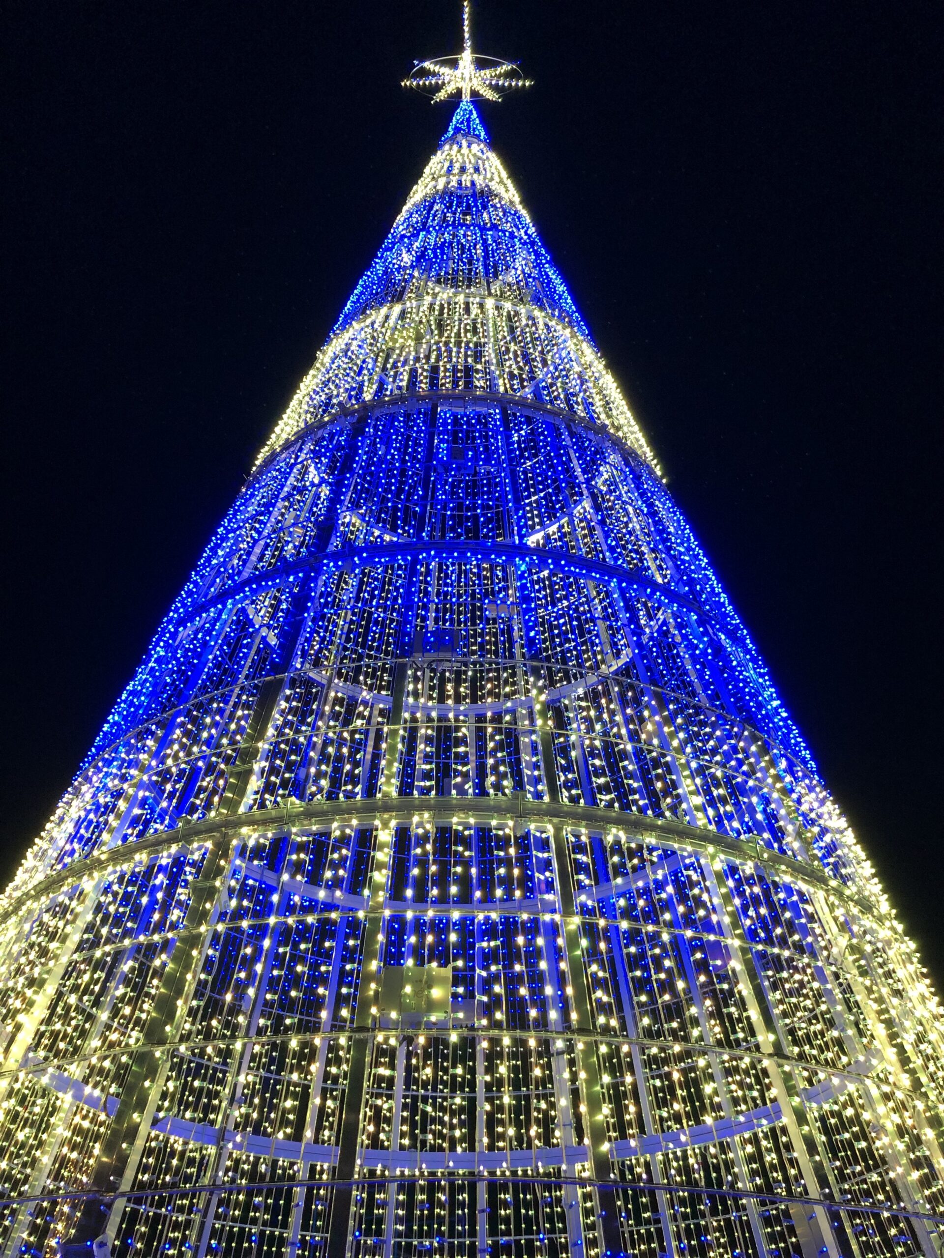 Luzen de Navidad en Panama – Heather's 6W Adventures